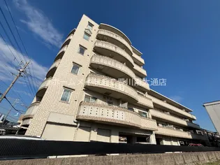 アルセトキワの画像