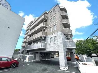 セレッソトキワの画像