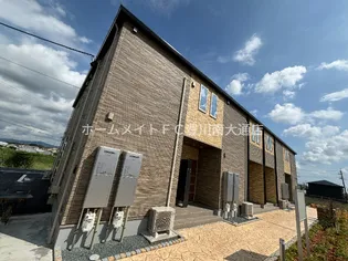 ブルーベルの画像