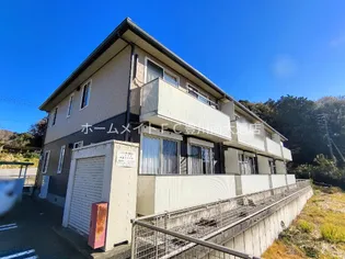 エクセレントティアラの画像