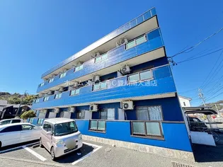 ウイングコートシェソワの画像