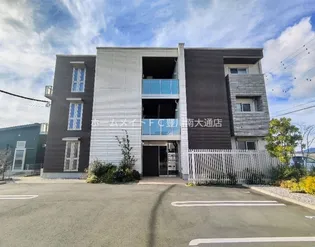 GRANDE ALBEROの画像