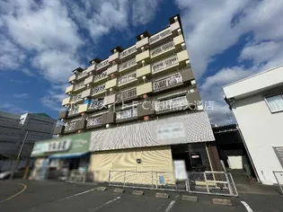 SARASOTA ROWAの画像