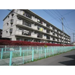 エクセル彩の画像