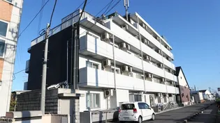 シャンブル英美の画像