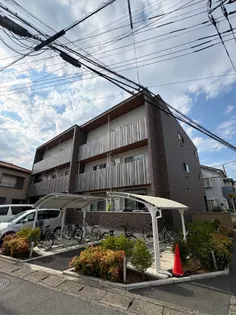 ハイムモコの画像