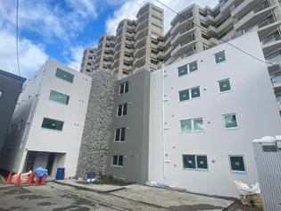 BELLISSIMO HASSAMUの画像