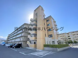 フレアコートコスモの画像