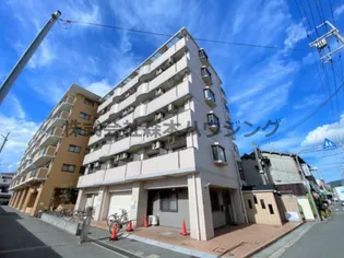 メゾンエイコーA【 503号室】の外観