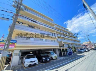 ブランドールMIII【 509号室】の外観