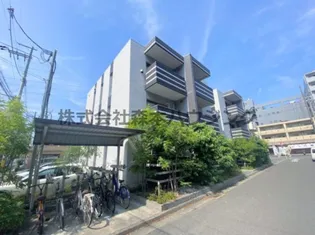 MARVELOUSの画像