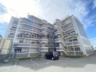 グレイシィーK Yの画像