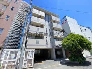 チェリーブロッサムの画像