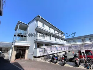 ルシア タームーの画像