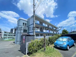 サンライズ マゼミの画像