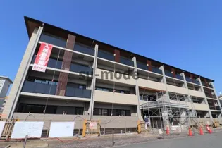 ハレ マイラニの画像