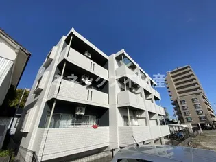 デタント中村の画像