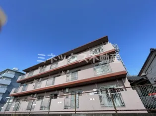 マミール86の画像