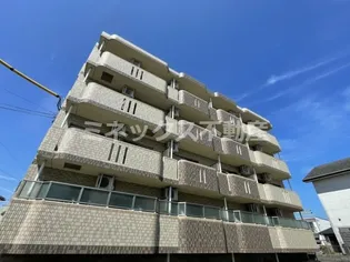 アミリアコートの画像