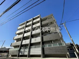 ピュア サーマルの画像