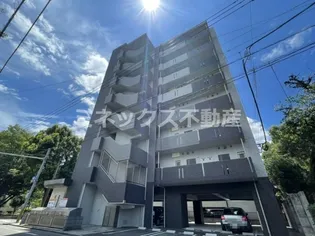 チェチーリアの画像