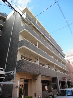 ステラムの画像