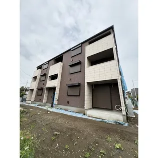 ノリアセットの画像