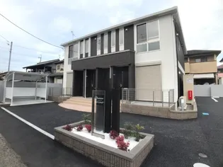 ステラレジーナの画像