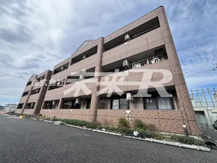 モデルナ江木の画像