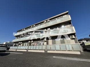 ピアーチェ ヴォーレの画像