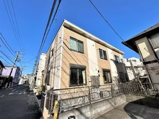 オキザリスの画像