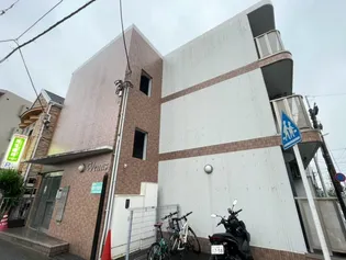 ヴィーナスの画像