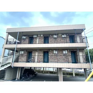 シナモンの画像