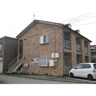 オリーブの画像