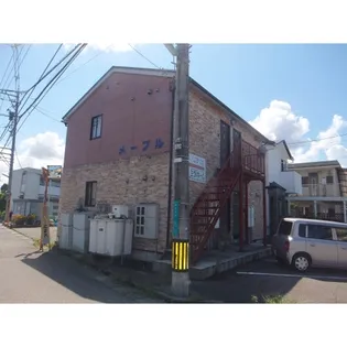 メープルの画像