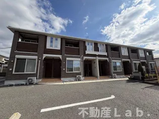 アベリア 5の画像