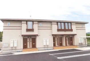 プラシードBの画像