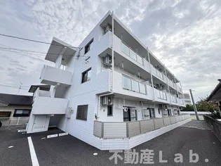 プリムローズの画像