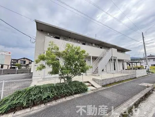 マイトレーヤの画像