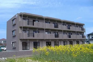 パストラーレの画像