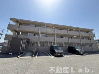 マーラリッシュの画像