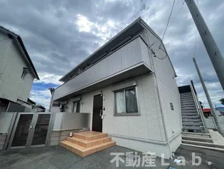 サンリリーの画像