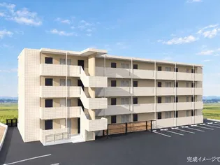 デイジーの画像