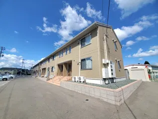 サンシルフィーY Bの画像