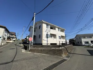 セリーヌAの画像