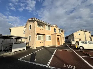 ヴィオラⅢBの画像