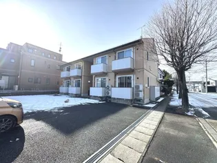 セリーナの画像
