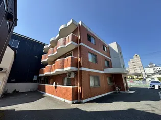 アモーレヨシノの画像