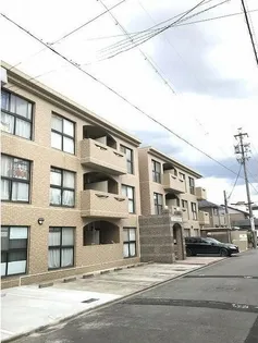 スーリヤ庄内通の画像