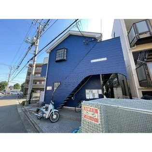 アマリリスの画像